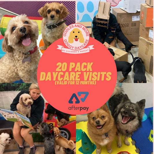 20 Pack Daycare Visits - Valid for 12 months (Includes Afterpay/Paypal Fees)