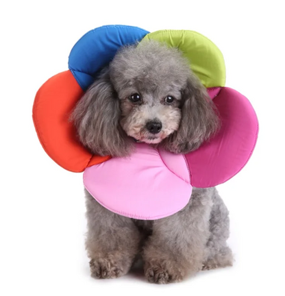 Comfy Cone Alternative Adjustable Collar